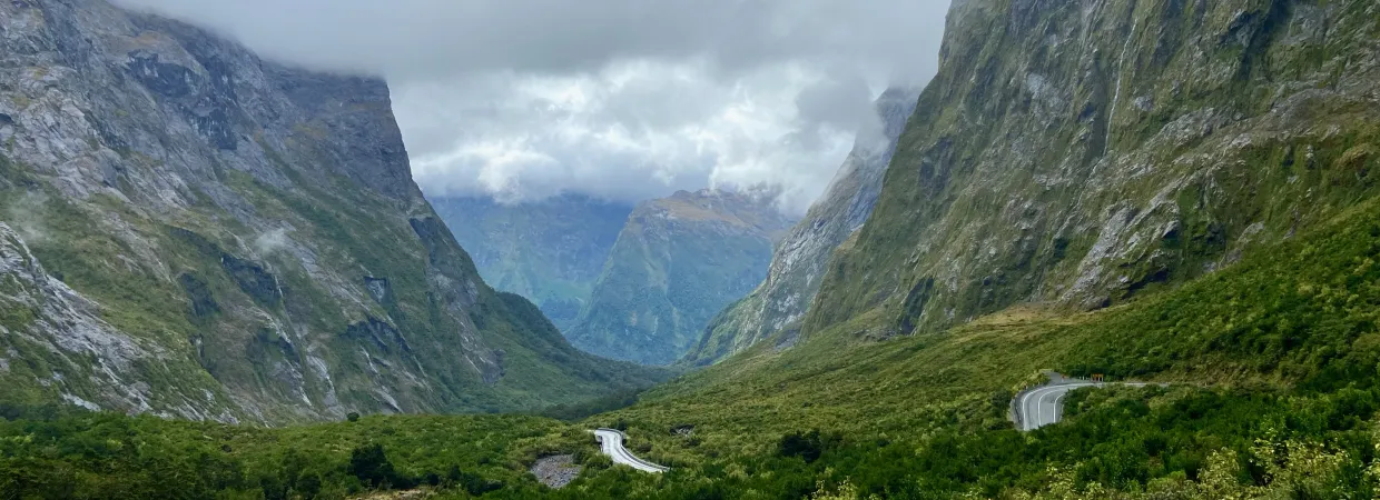 A beautiful green valley in New Zealand